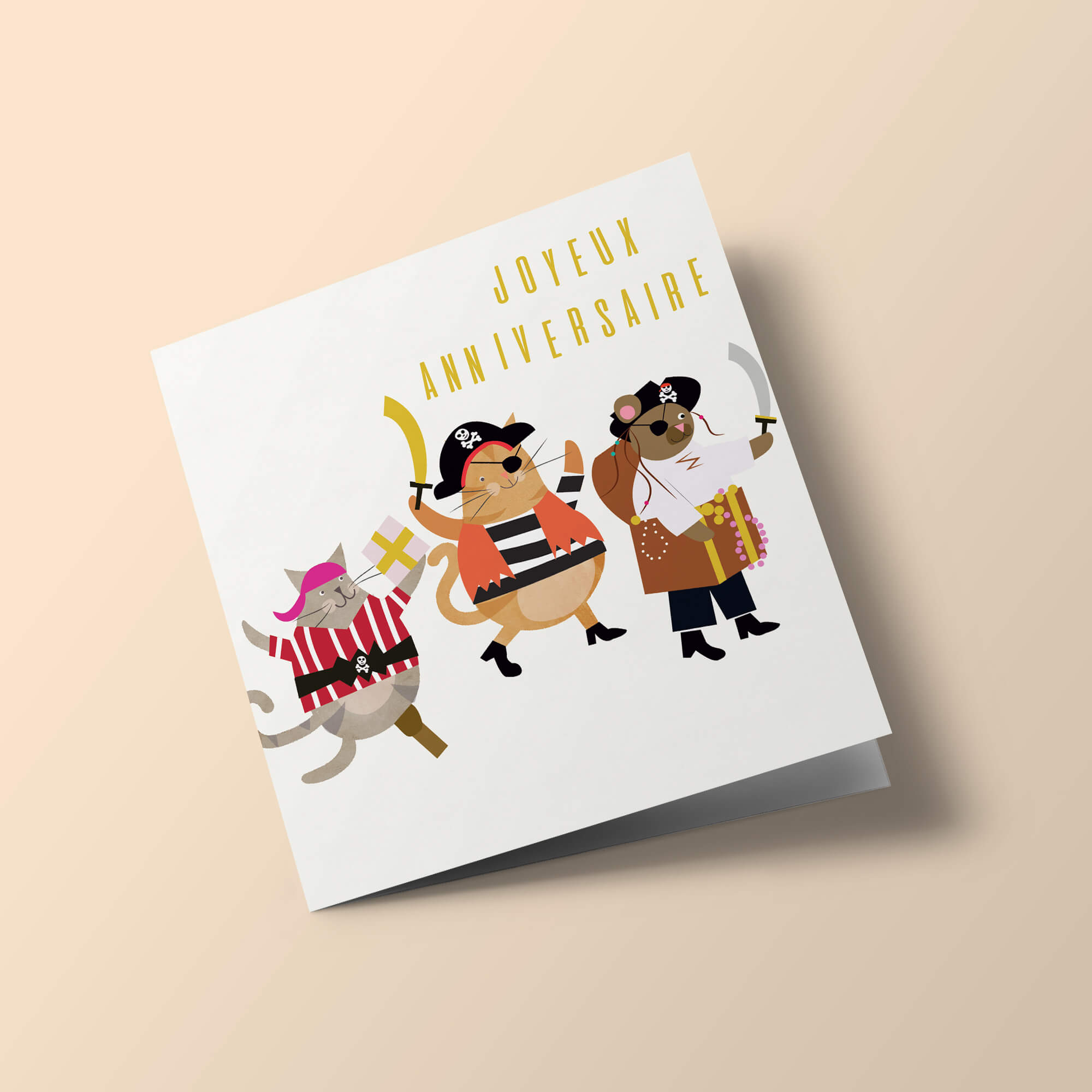 Dressing Up Box - Animaux en déguisements, pirates