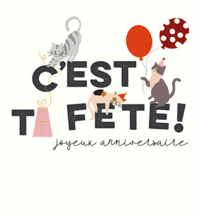 Festival - "C'est ta fête", chats