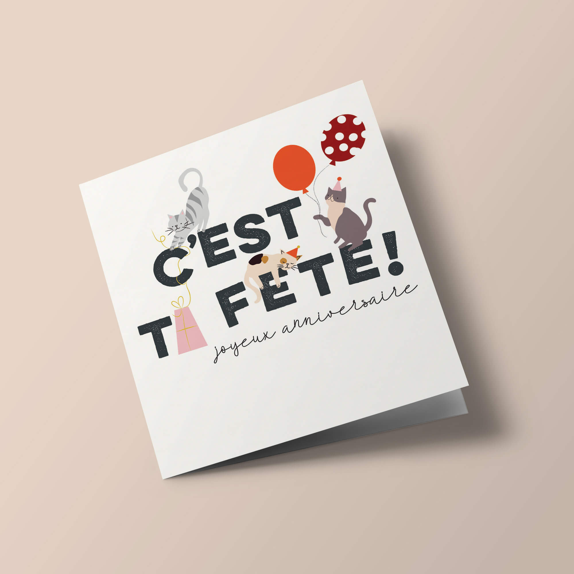 Festival - "C'est ta fête", chats