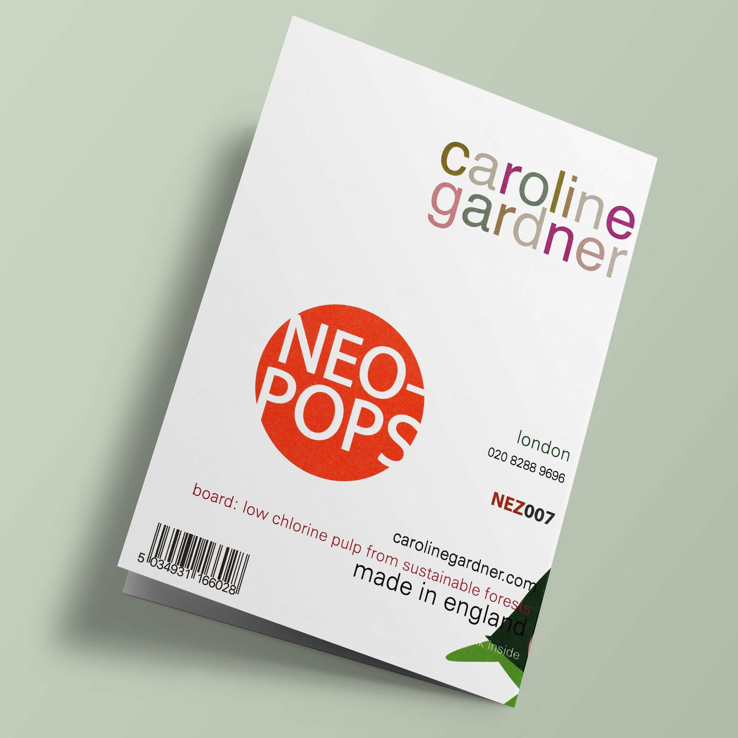 Neo pops - Tortue