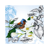 Flowery Song - Finch and syringa
