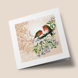 Flower Song - Robin and mistletoe