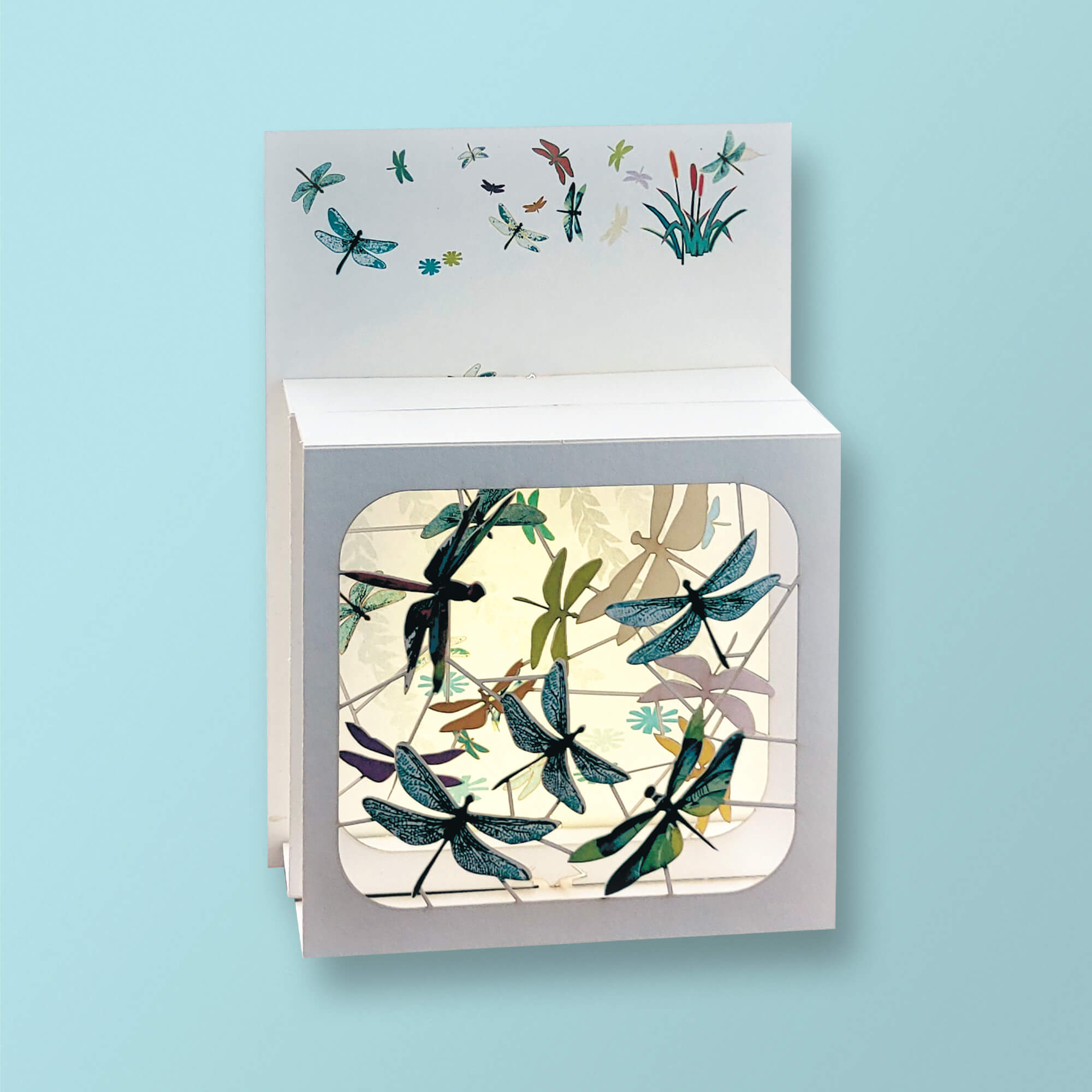 Carte box - Libellules