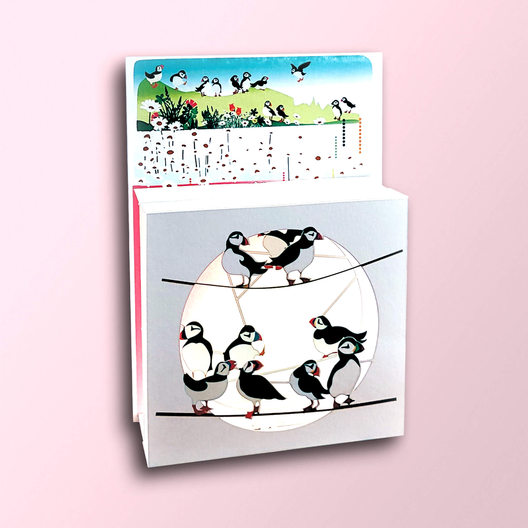 Carte box - Macareux