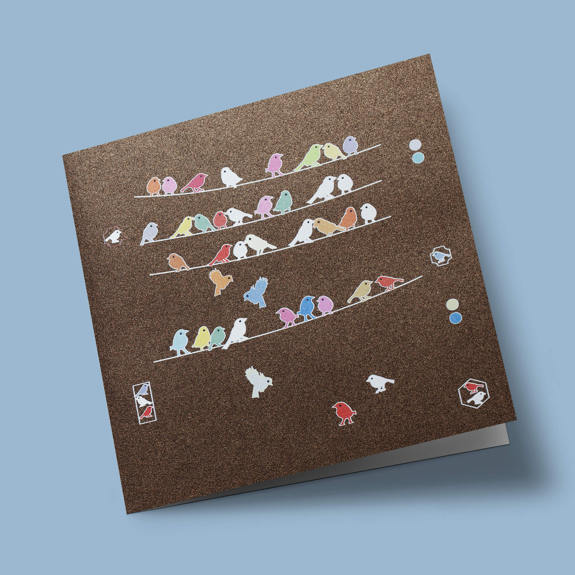 Northern Lights - Oiseaux