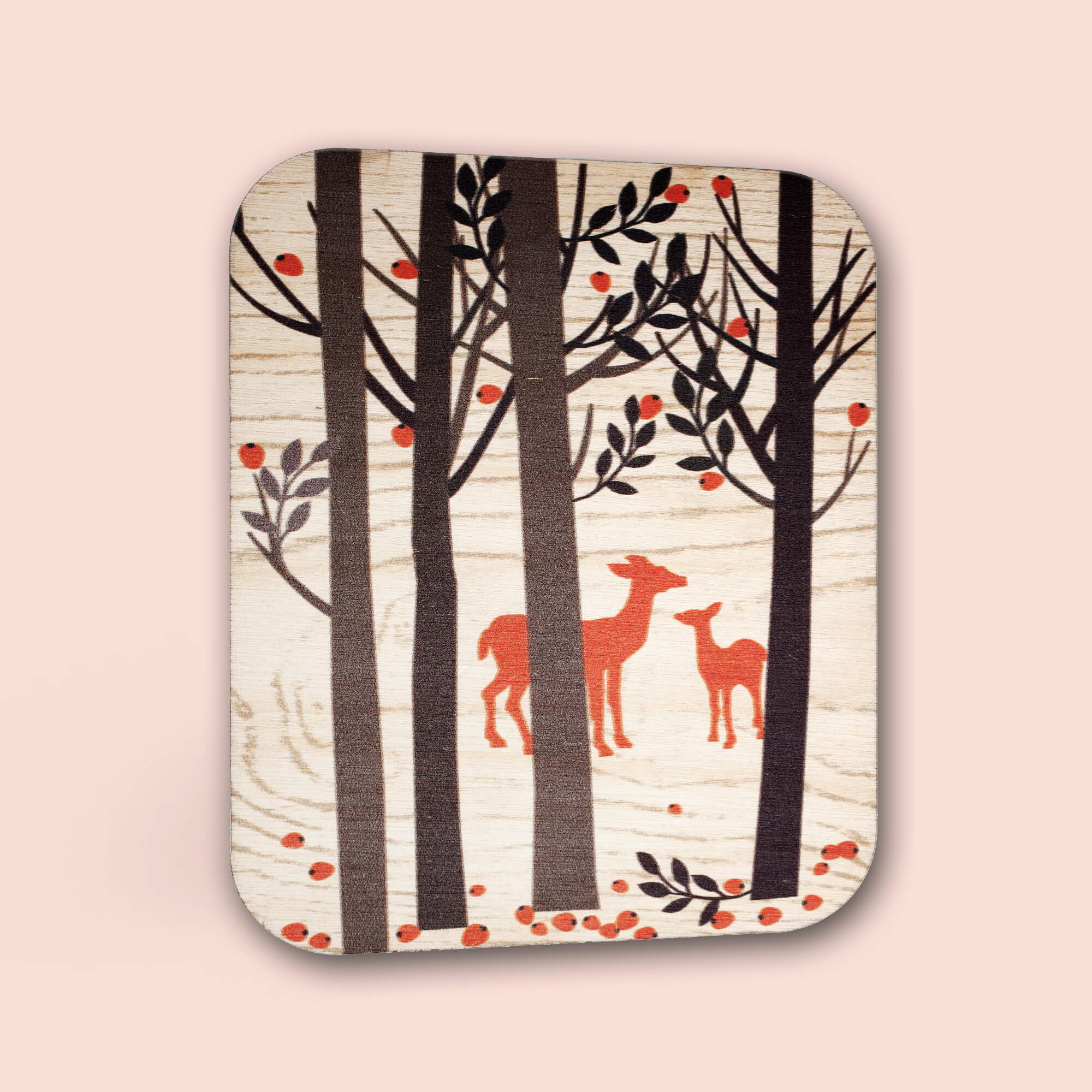 Paper Birch - Biches dans la forêt