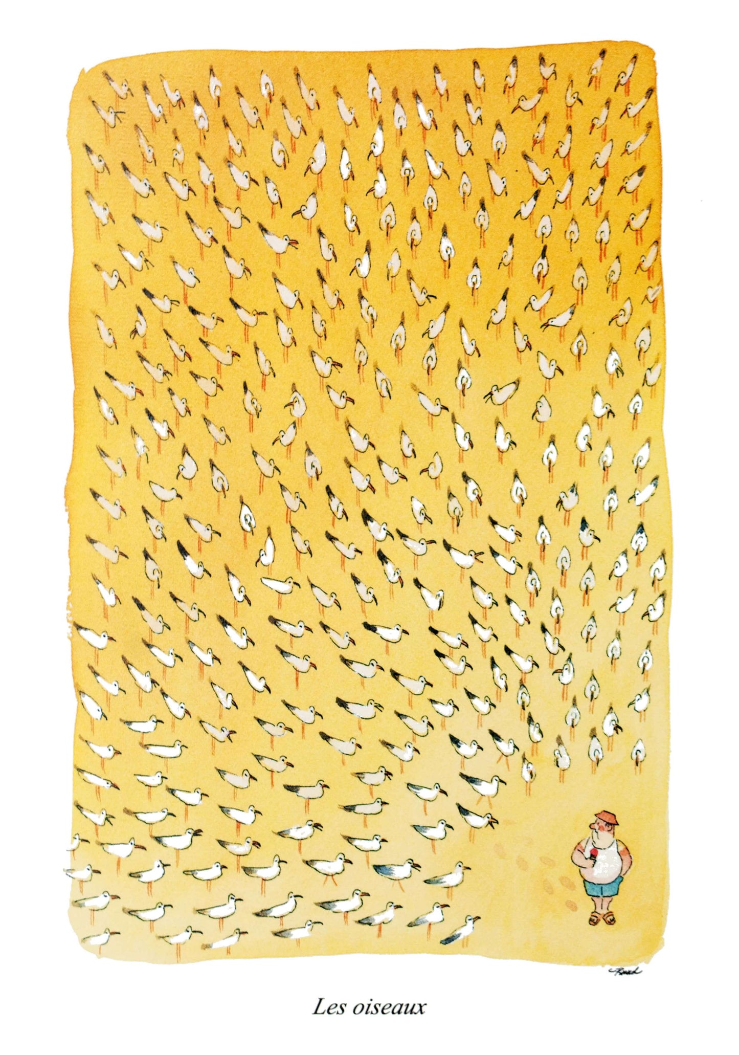 Pas un jour sans soleil - Les oiseaux