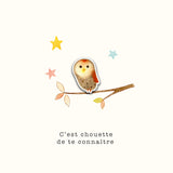 Les petits trésors - C'est chouette de te connaitre, chouette