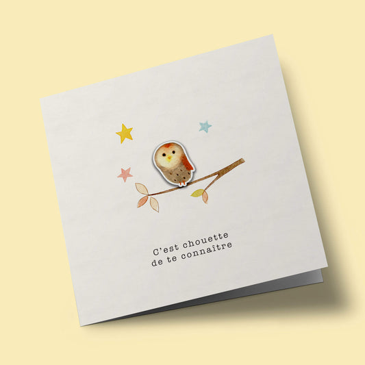 Les petits trésors - C'est chouette de te connaitre, chouette