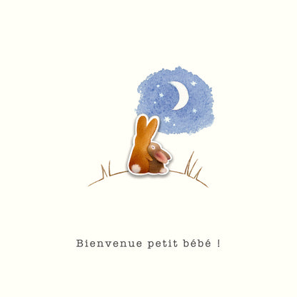 Les petits trésors - Bienvenue petit bébé, lapins