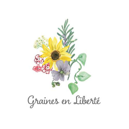 Une face de "Graines en Liberté" par Hannah Marchant