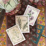 Graines en Liberté - Lot de 6 Graines