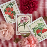 Graines en Liberté - Lot de 6 Graines