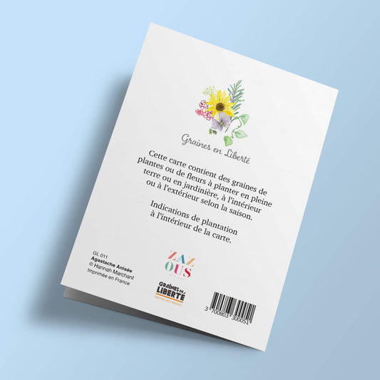 Graines en Liberté - Agastache Anisée