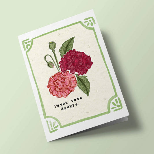 Graines en Liberté - Pavot rose double