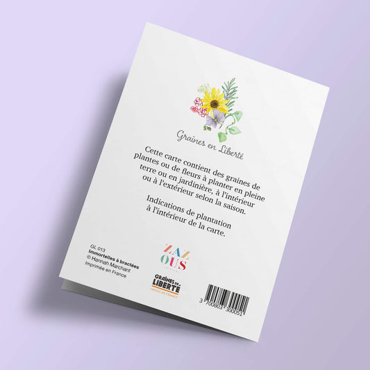 Graines en Liberté - Immortelles à bractées