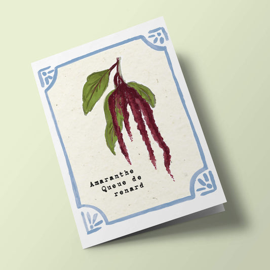 Graines en Liberté - Amaranthe queue de renard