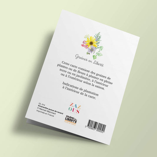 Graines en Liberté - Amaranthe queue de renard