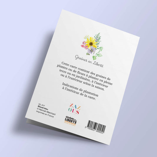 Graines en Liberté - Bleuet bleu