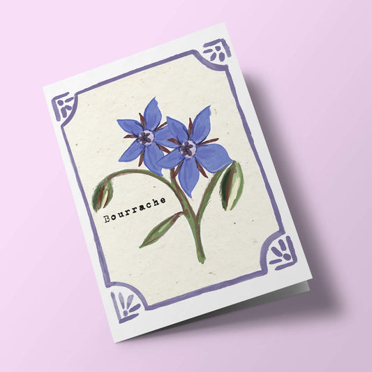 Graines en Liberté - Bourrache