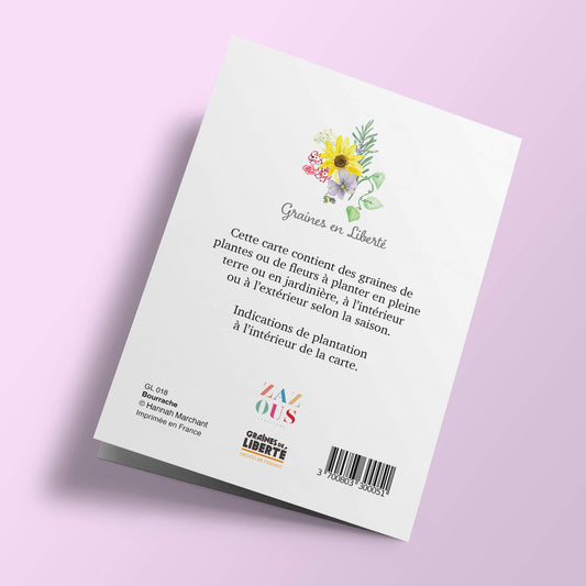 Graines en Liberté - Bourrache