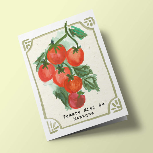 Graines en Liberté - Tomate Miel du Mexique