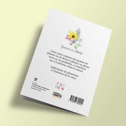 Graines en Liberté - Tomate Miel du Mexique