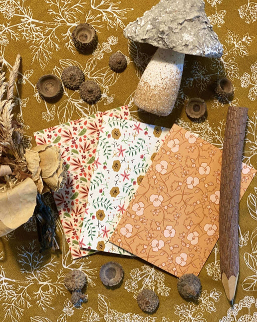 Once upon a time, there was autumn