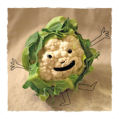 Drôle de potager - Noé le Chou Fleur