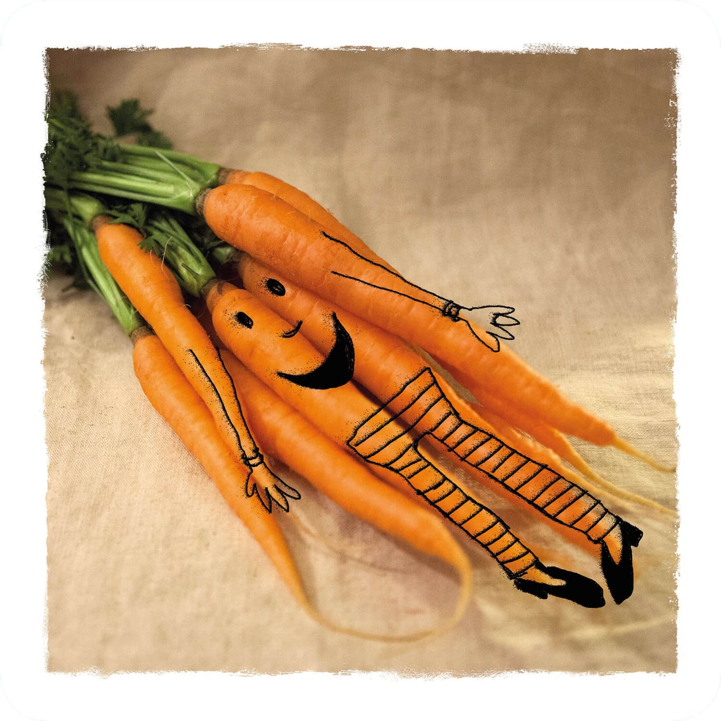 Drôle de potager - Lou la Carotte