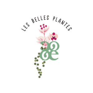 Une face de "Les Belles Plantes"