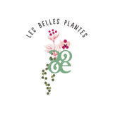 Une face de "Les Belles Plantes"
