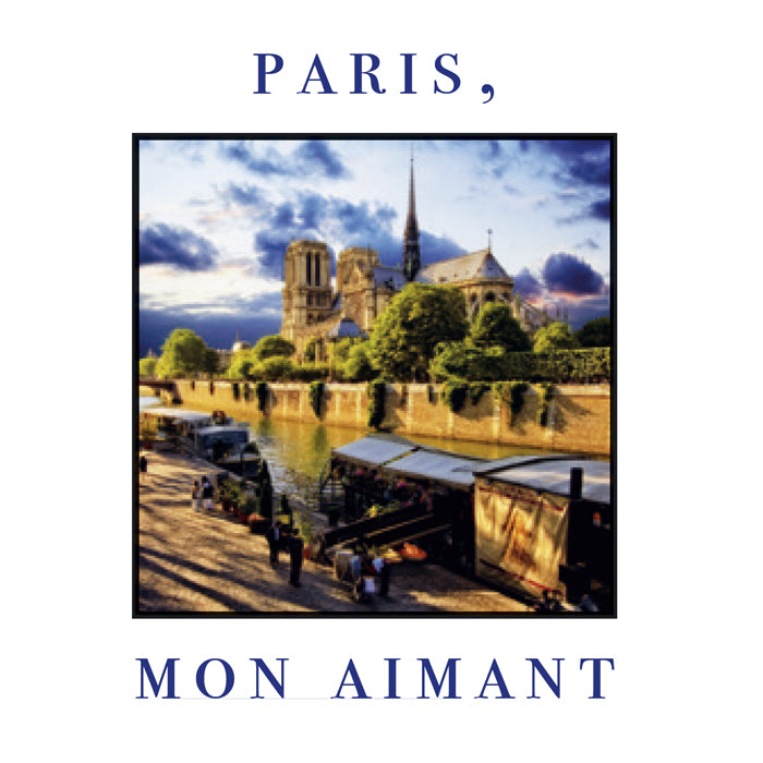 Une face de "Paris Mon Aimant" par divers artistes