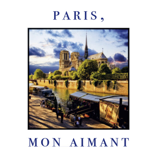 Une face de "Paris Mon Aimant" par divers artistes