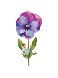 Une face de "Filles en fleur" par Love Lucy Illustration