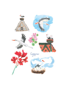 Planches d'Alsace - Cigognes