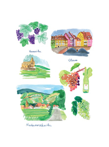 Planches d'Alsace - Vignobles alsaciens