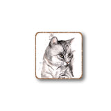 Animal Magnets - Tabby Cat
