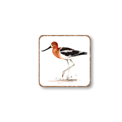Animal Magnets - American Avocet