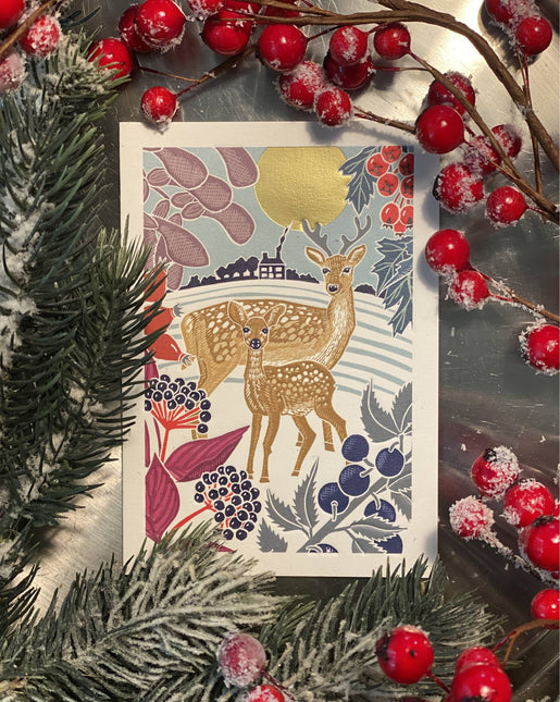 Nature Trail - Hiver