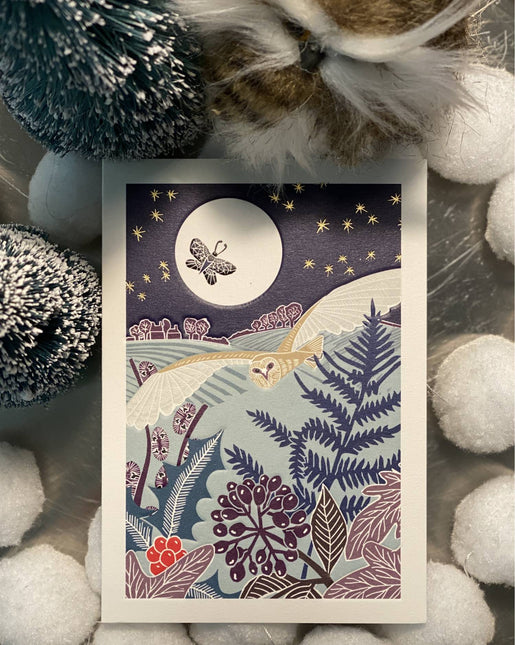 Nature Trail - Hiver