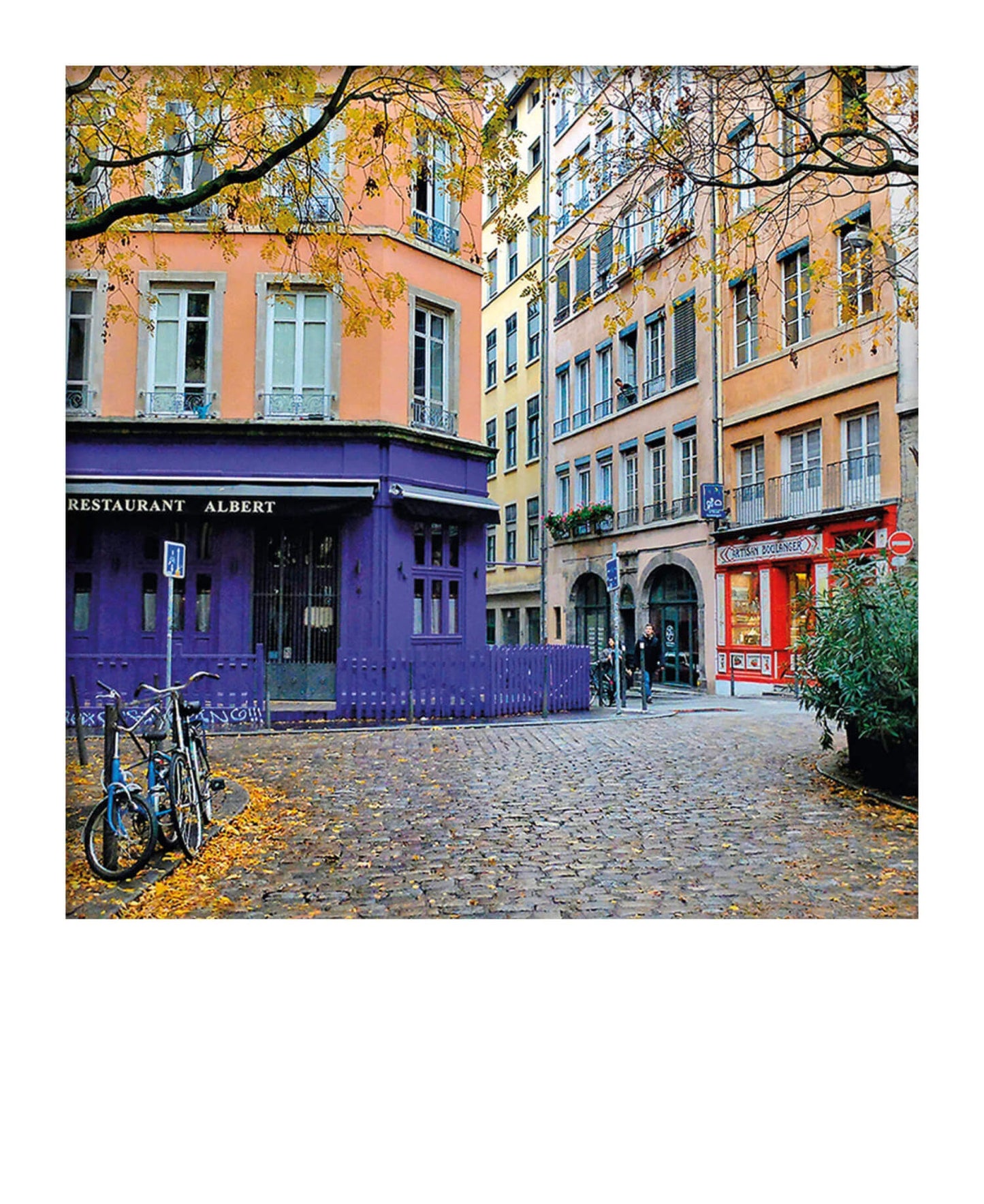 Carte polaroid - Restaurant pourpre, Place Fernand Rey, Lyon