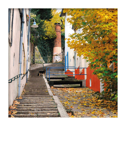 Carte polaroid - Montée de la Chana, Lyon