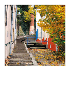 Carte polaroid - Montée de la Chana, Lyon