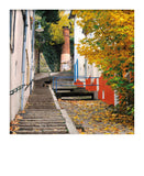 Carte polaroid - Montée de la Chana, Lyon