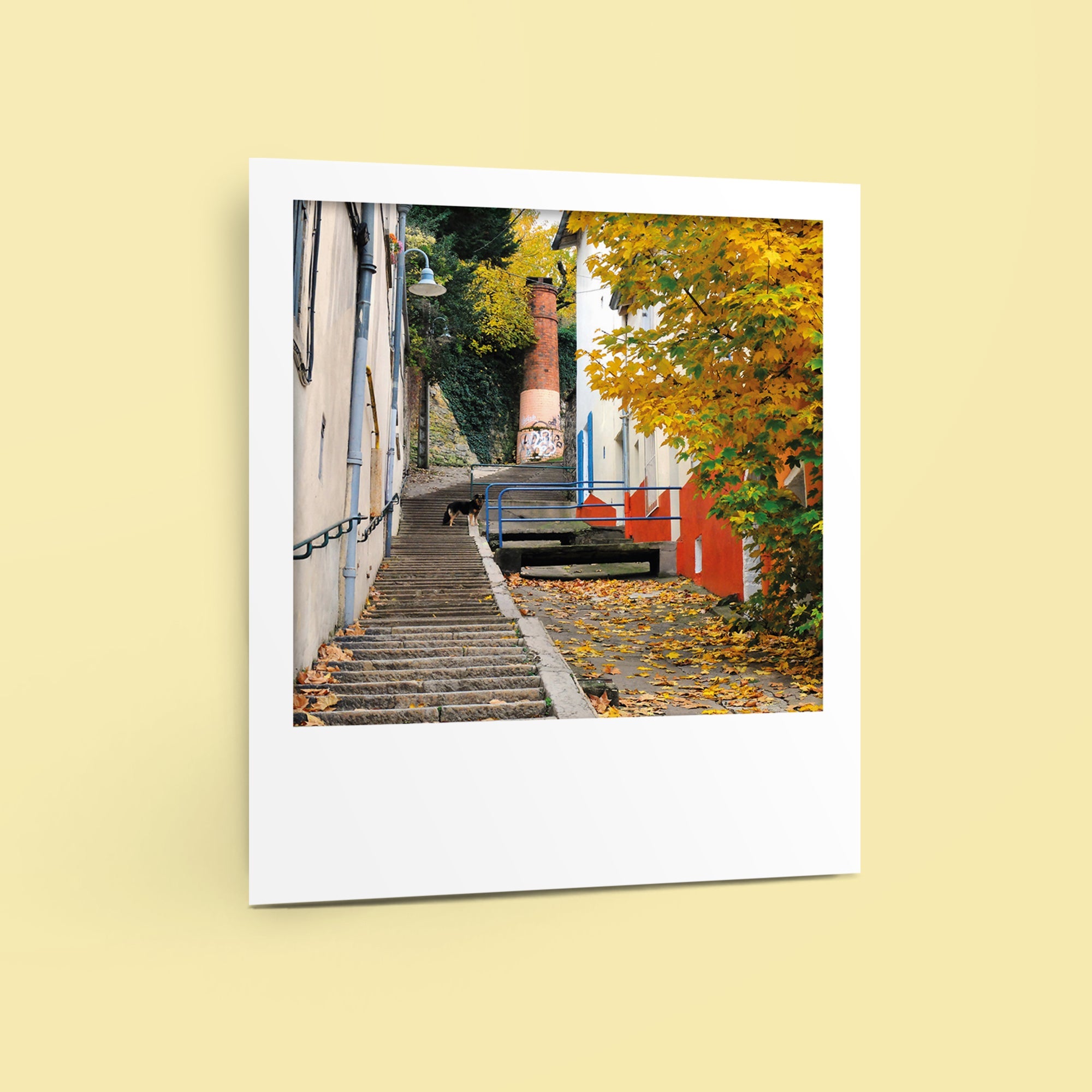 Carte polaroid - Montée de la Chana, Lyon