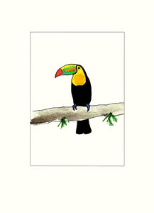 Papersheep - toucan on branch