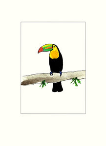 Papersheep - Toucan sur branche