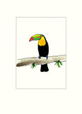 Papersheep - toucan on branch