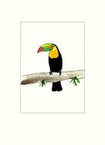 Papersheep - Toucan sur branche